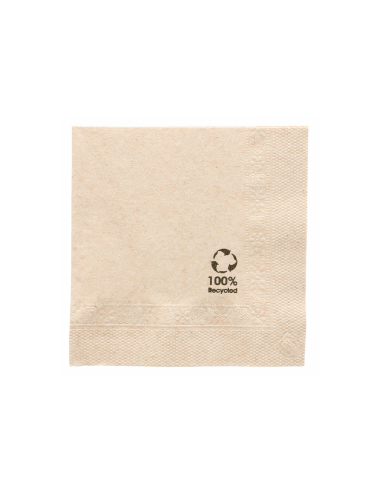 Serviettes Papier Recyclé 2 Plis 20x20 Cm - Achat / Vente pas cher |We  Packing